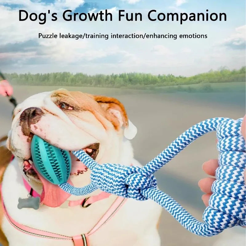 Maison Paw DuraPlay™ Braided Rope Chew Ball – Dental & Treat Toy for Dogs