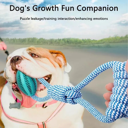 Maison Paw DuraPlay™ Braided Rope Chew Ball – Dental & Treat Toy for Dogs