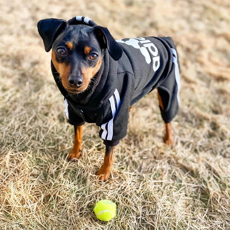 Maison Paw CozyFit™ Pet Jumpsuit – Soft Winter Outfit for Small & Medium Dogs