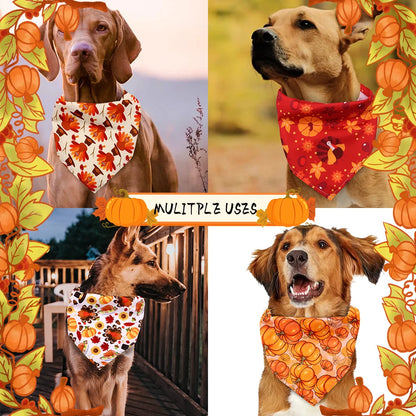 Maison Paw HarvestFest™ Thanksgiving Dog Bandana Set (50 pcs)