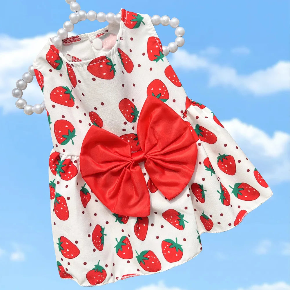 Maison Paw BloomBow™ Summer Pet Dress – Princess Lace Outfit for Small Dogs & Cats