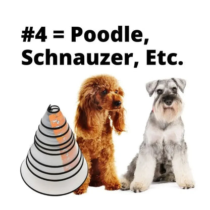 HaloCare™ Pet Recovery Collar