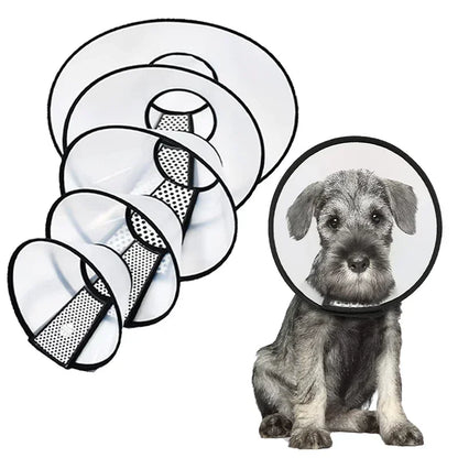 HaloCare™ Pet Recovery Collar