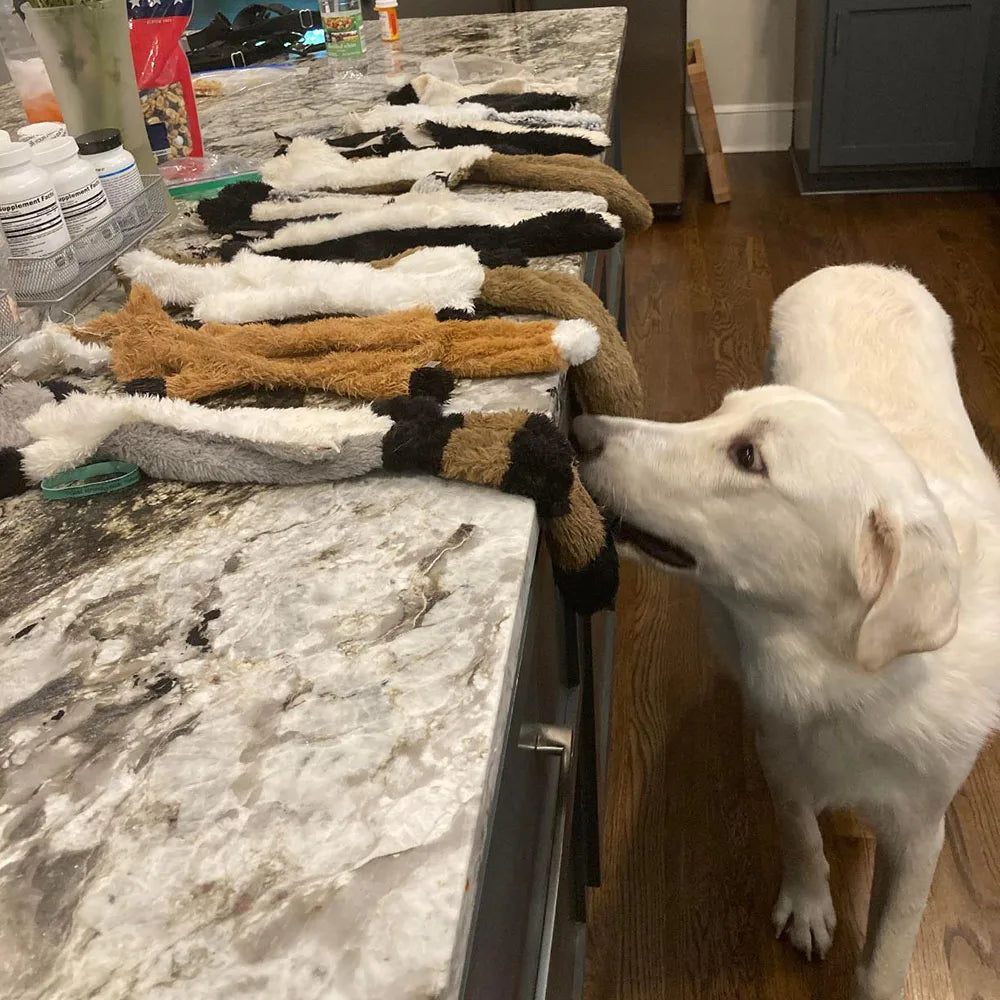 Maison Paw CrinkleCritter™ Stuffing-Free Squeaky Dog Toy