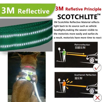 ReflectaPaw Harness