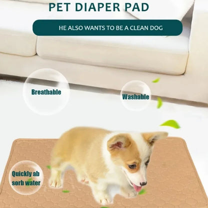 PawDry Mat