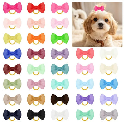 Maison Paw ColorPop™ Pet Hair Bows (5/10/20 pcs)