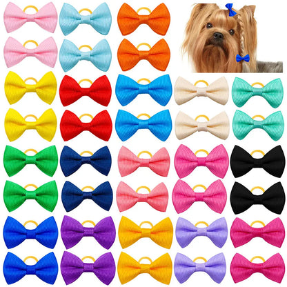 Maison Paw Pet Grooming Hair Bows Set (10/20/30 pcs)