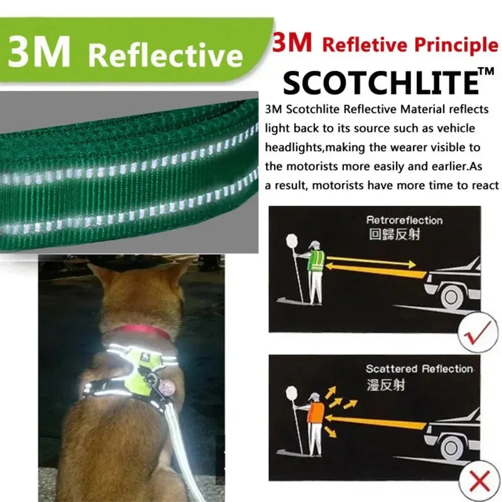 ReflectaPaw Harness