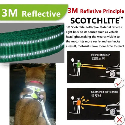 ReflectaPaw Harness