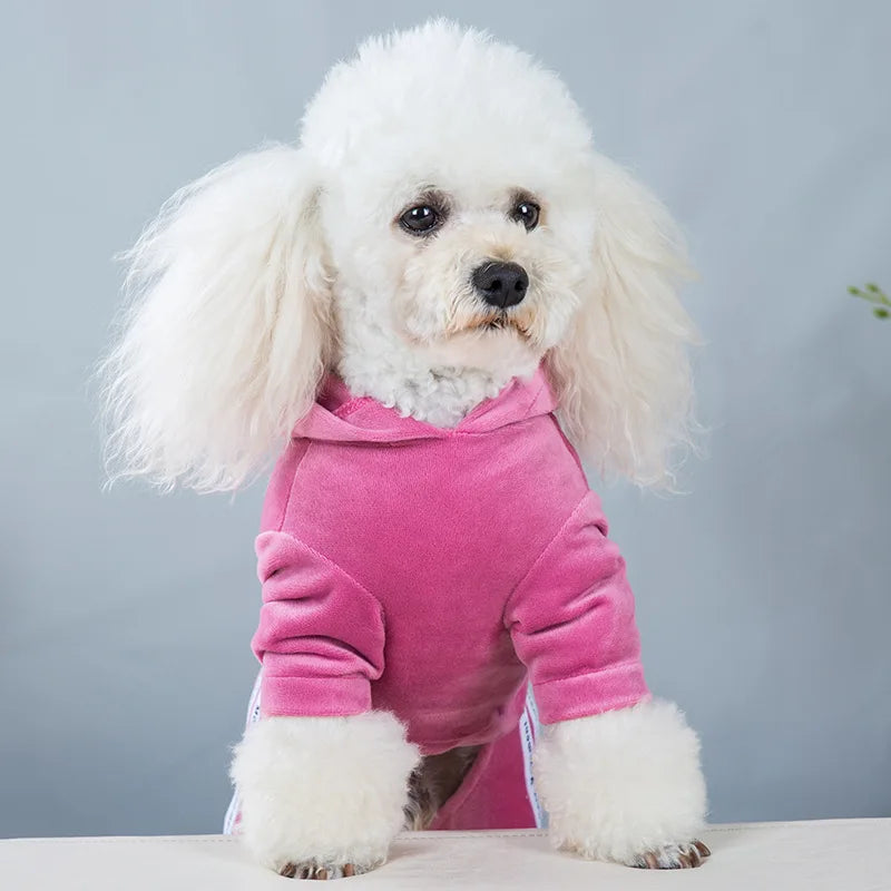 Maison Paw VelvetDream™ Winter Pet Jumpsuit – Soft Fleece Hoodie for Small Dogs & Cats