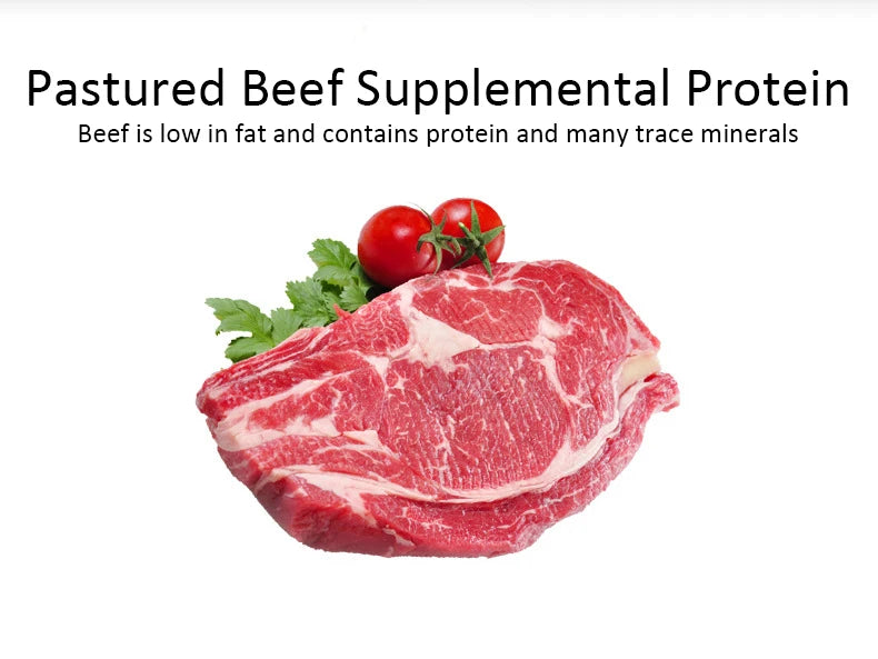 Dog Snacks Teething Stick – Mixed Flavor