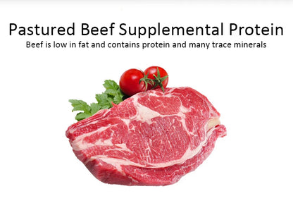 Dog Snacks Teething Stick – Mixed Flavor