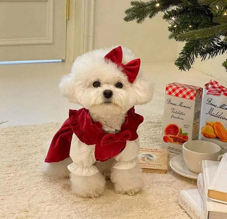 Maison Paw WinterBow™ Cozy Corduroy Dog Dress