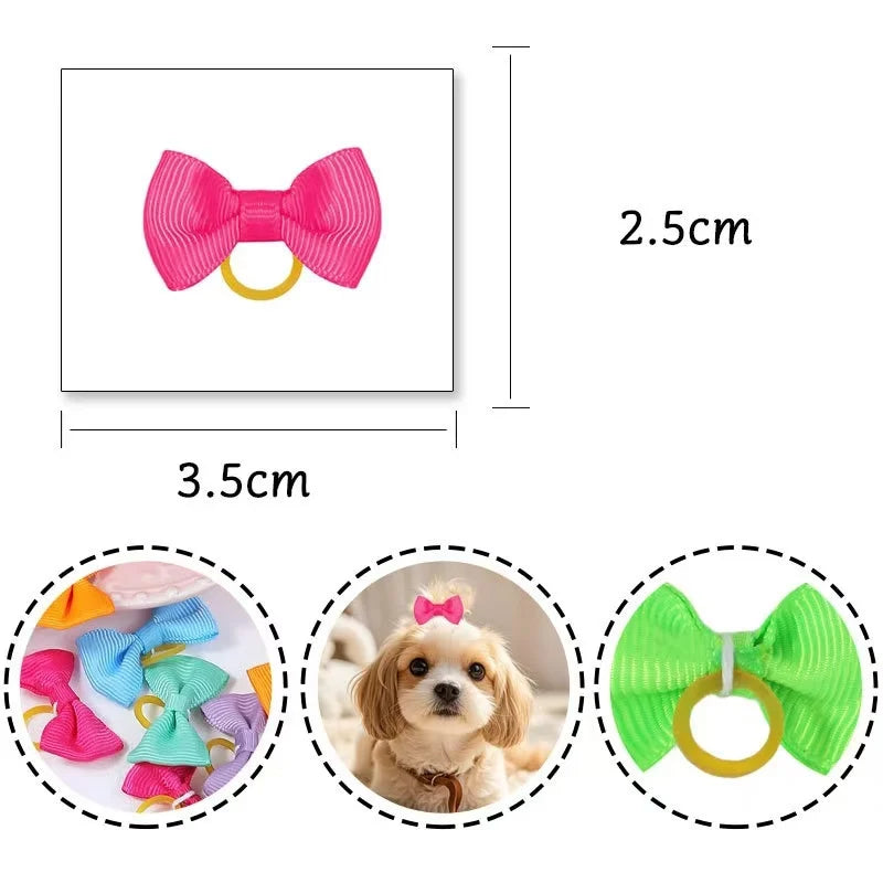 Maison Paw ColorPop™ Pet Hair Bows (5/10/20 pcs)