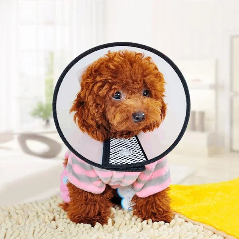 HaloCare™ Pet Recovery Collar