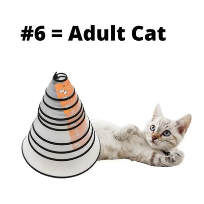 HaloCare™ Pet Recovery Collar