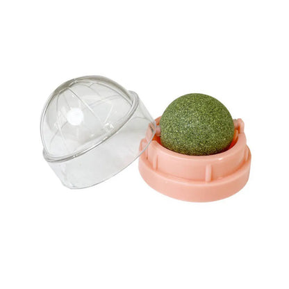 Maison Paw VitaBite™ Catnip Wall Ball – Healthy Treat & Play Toy for Cats