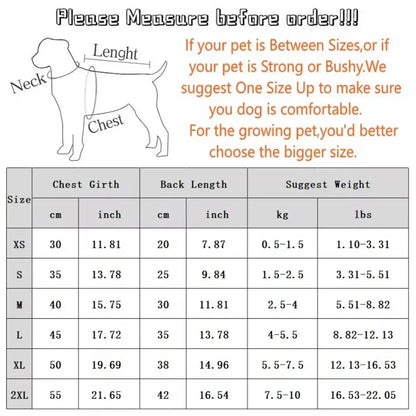 Maison Paw HoneyHug™ Winter Pet Hoodie – Cute Bee Design for Dogs & Cats