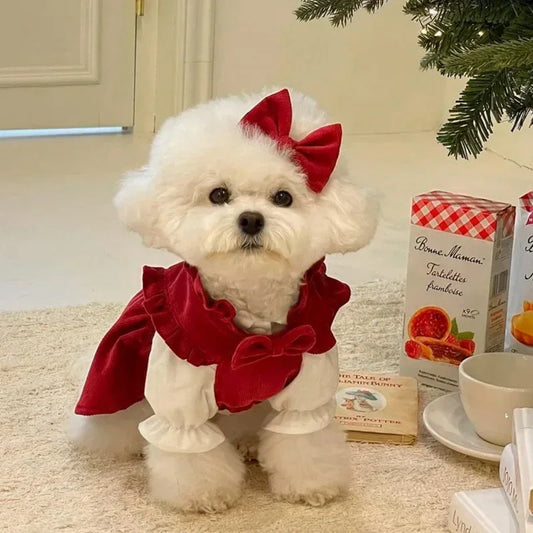 Maison Paw WinterBow™ Cozy Corduroy Dog Dress