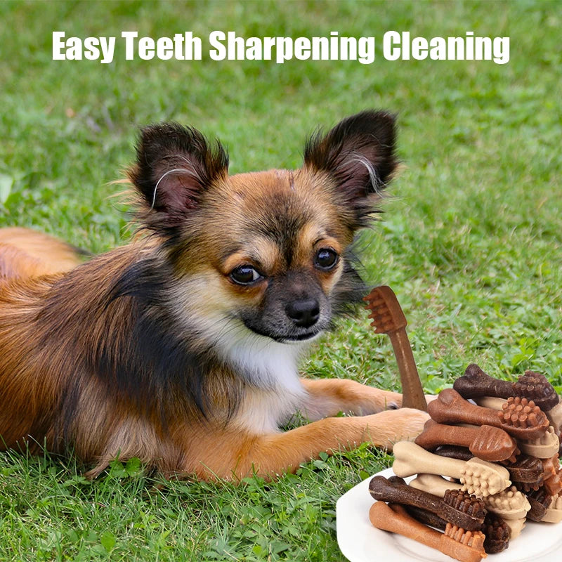 Maison Paw ChewBrush™ Toothbrush Bone Sticks for Dogs