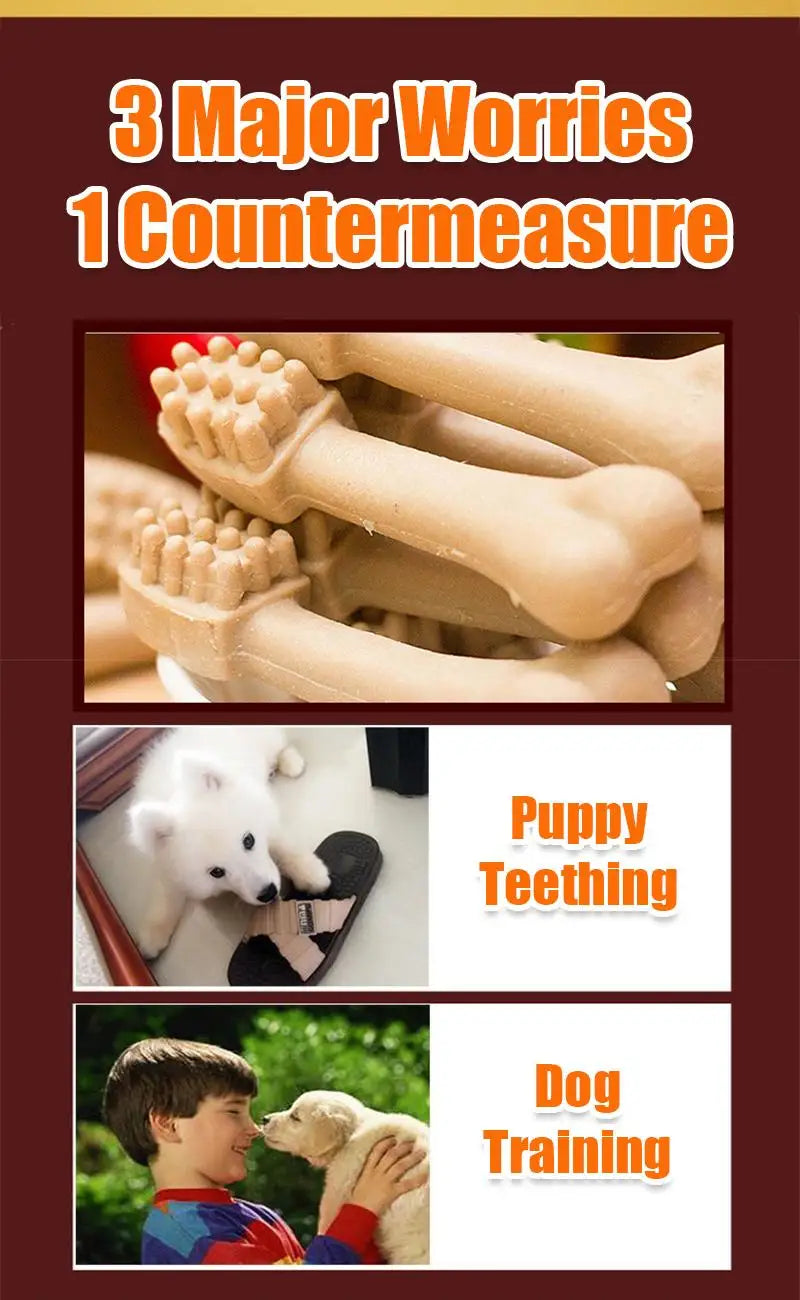 Maison Paw ChewBrush™ Toothbrush Bone Sticks for Dogs