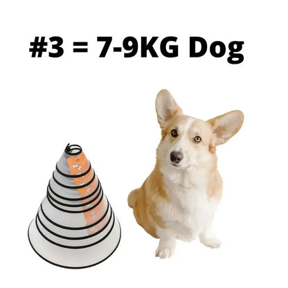 HaloCare™ Pet Recovery Collar