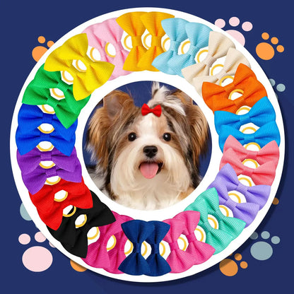 Maison Paw ColorPop™ Pet Hair Bows (5/10/20 pcs)
