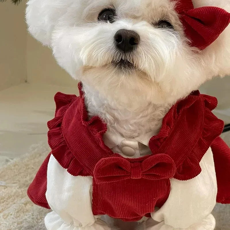 Maison Paw WinterBow™ Cozy Corduroy Dog Dress