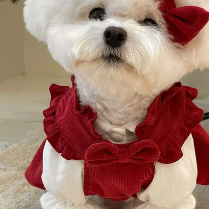 Maison Paw WinterBow™ Cozy Corduroy Dog Dress