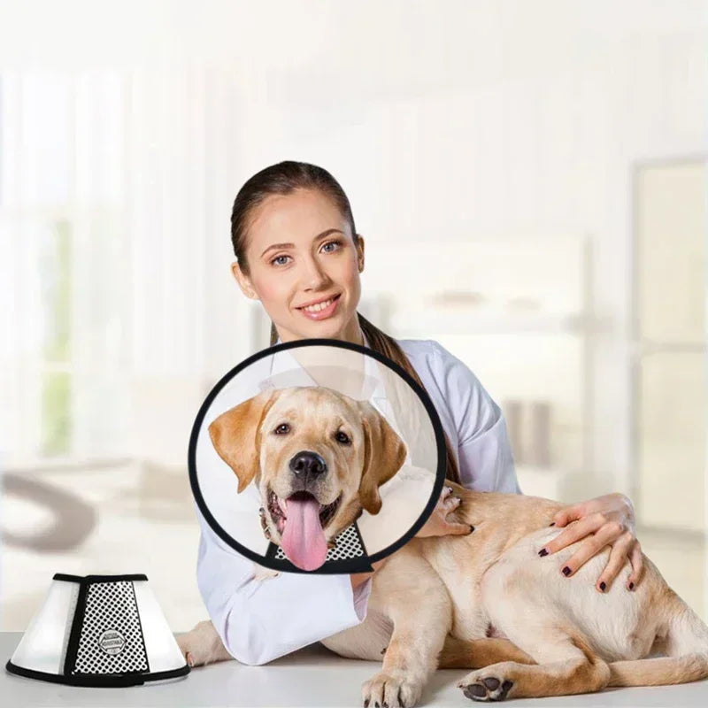 HaloCare™ Pet Recovery Collar