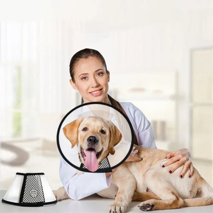 HaloCare™ Pet Recovery Collar