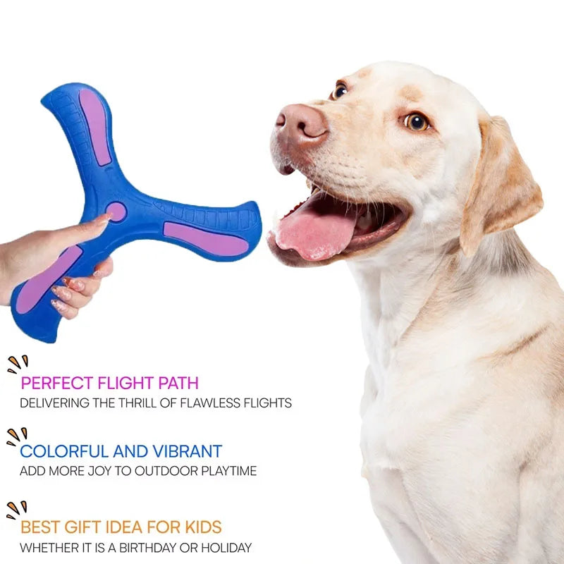 Maison Paw AeroFetch™ Dog Boomerang Toy (1/2/3 pcs)
