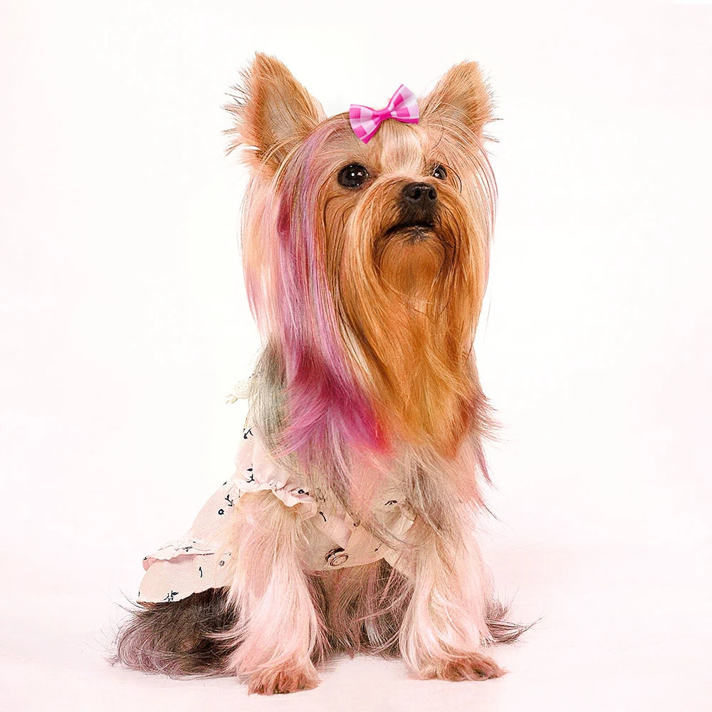 Maison Paw Pet Grooming Hair Bows Set (10/20/30 pcs)