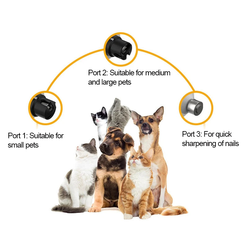 Maison Paw LumiTrim™ Electric Pet Nail Grinder