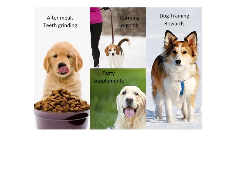 Dog Snacks Teething Stick – Mixed Flavor