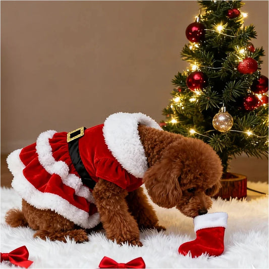 Maison Paw SantaPaws™ Christmas Pet Dress – Festive Holiday Outfit for Dogs & Cats