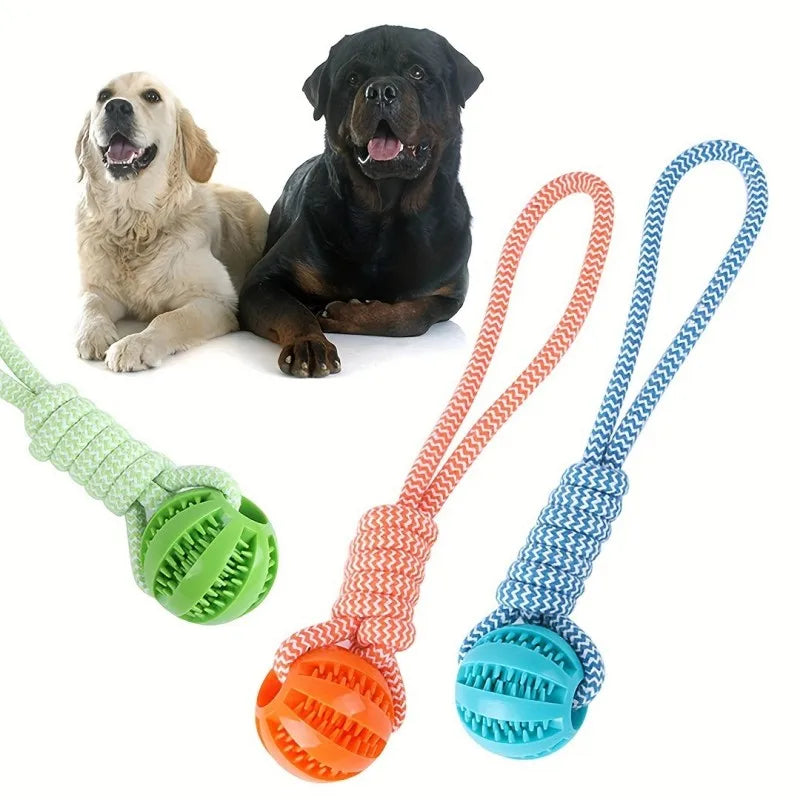 Maison Paw DuraPlay™ Braided Rope Chew Ball – Dental & Treat Toy for Dogs