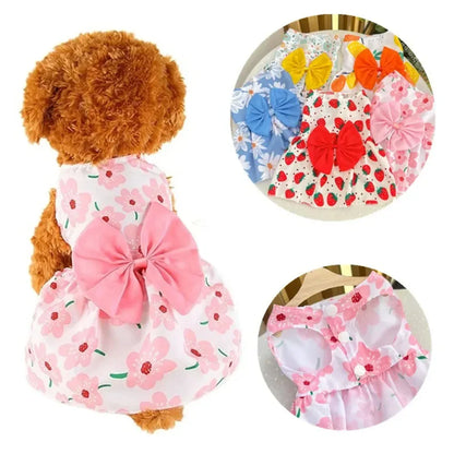 Maison Paw BloomBow™ Summer Pet Dress – Princess Lace Outfit for Small Dogs & Cats