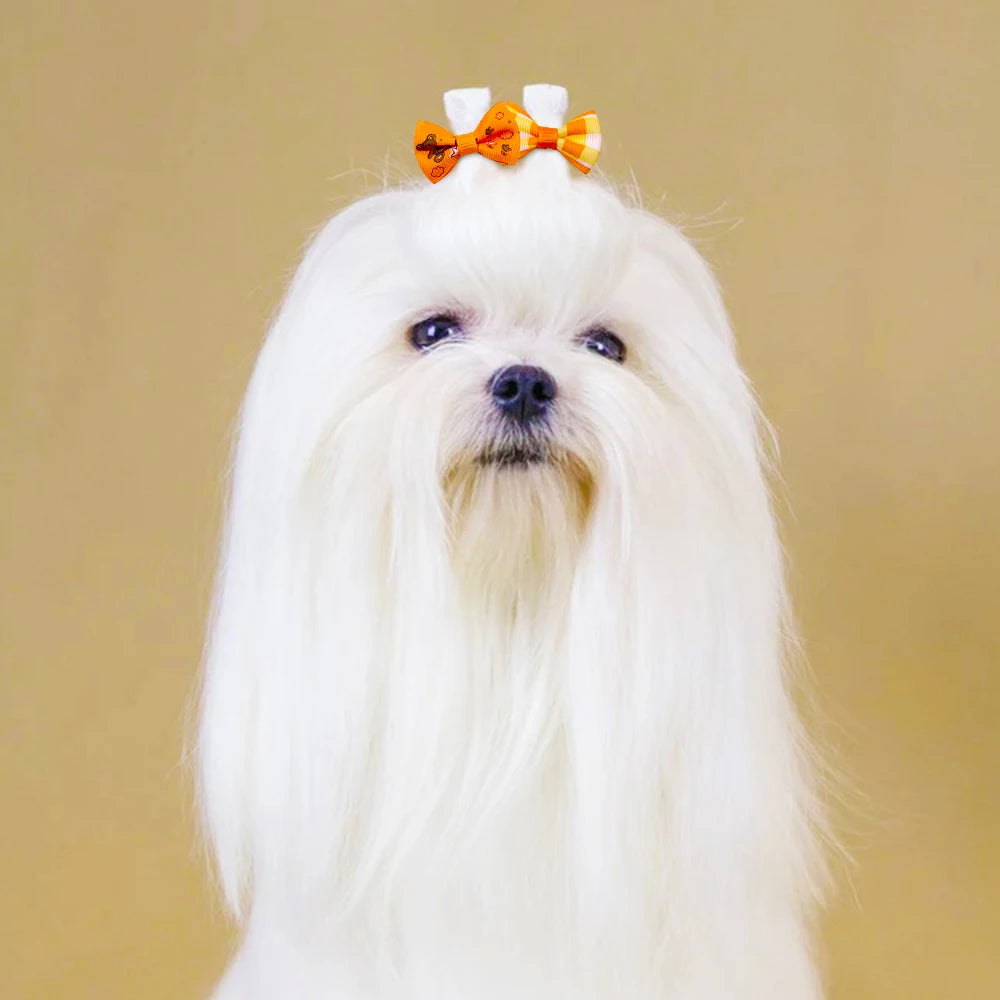 Maison Paw Pet Grooming Hair Bows Set (10/20/30 pcs)