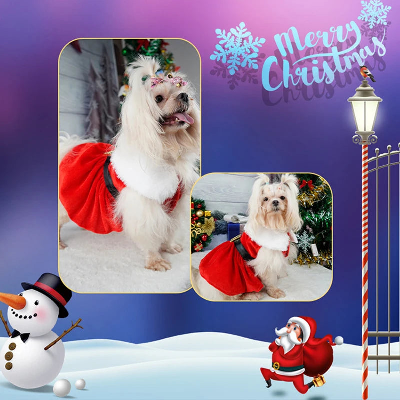 Maison Paw HollyPrincess™ Christmas Pet Dress – Red Holiday Outfit for Small Dogs & Cats
