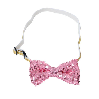 Maison Paw PawtyTime™ Pet Birthday Set