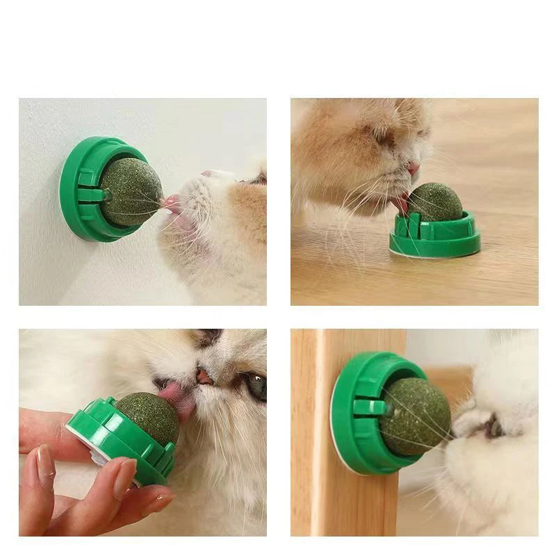Maison Paw VitaBite™ Catnip Wall Ball – Healthy Treat & Play Toy for Cats