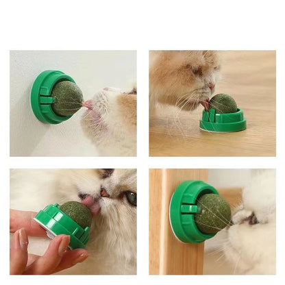 Maison Paw VitaBite™ Catnip Wall Ball – Healthy Treat & Play Toy for Cats