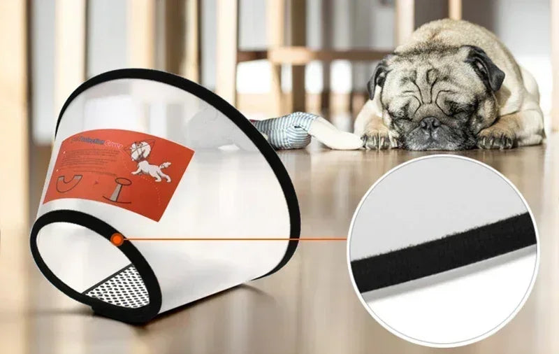 HaloCare™ Pet Recovery Collar