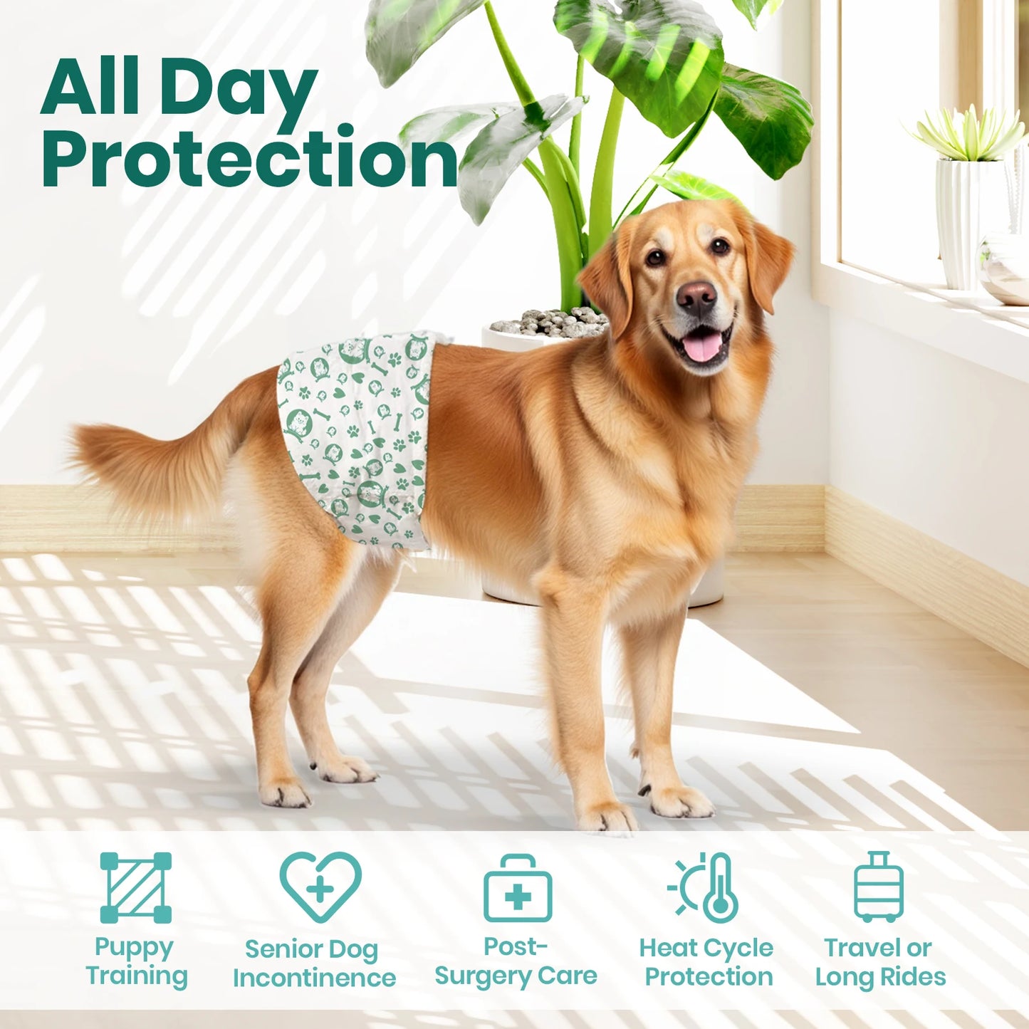 Maison Paw Disposable Dog Diapers