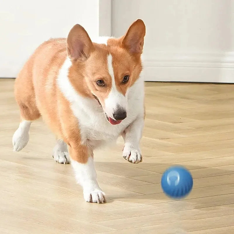Maison Paw SmartBounce™ Interactive Dog Toy Ball