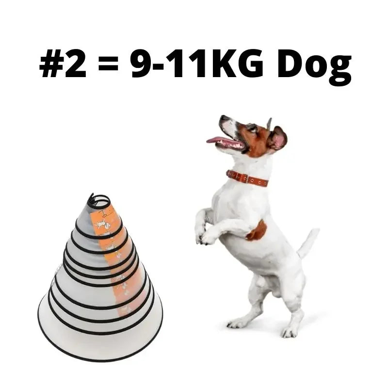 HaloCare™ Pet Recovery Collar