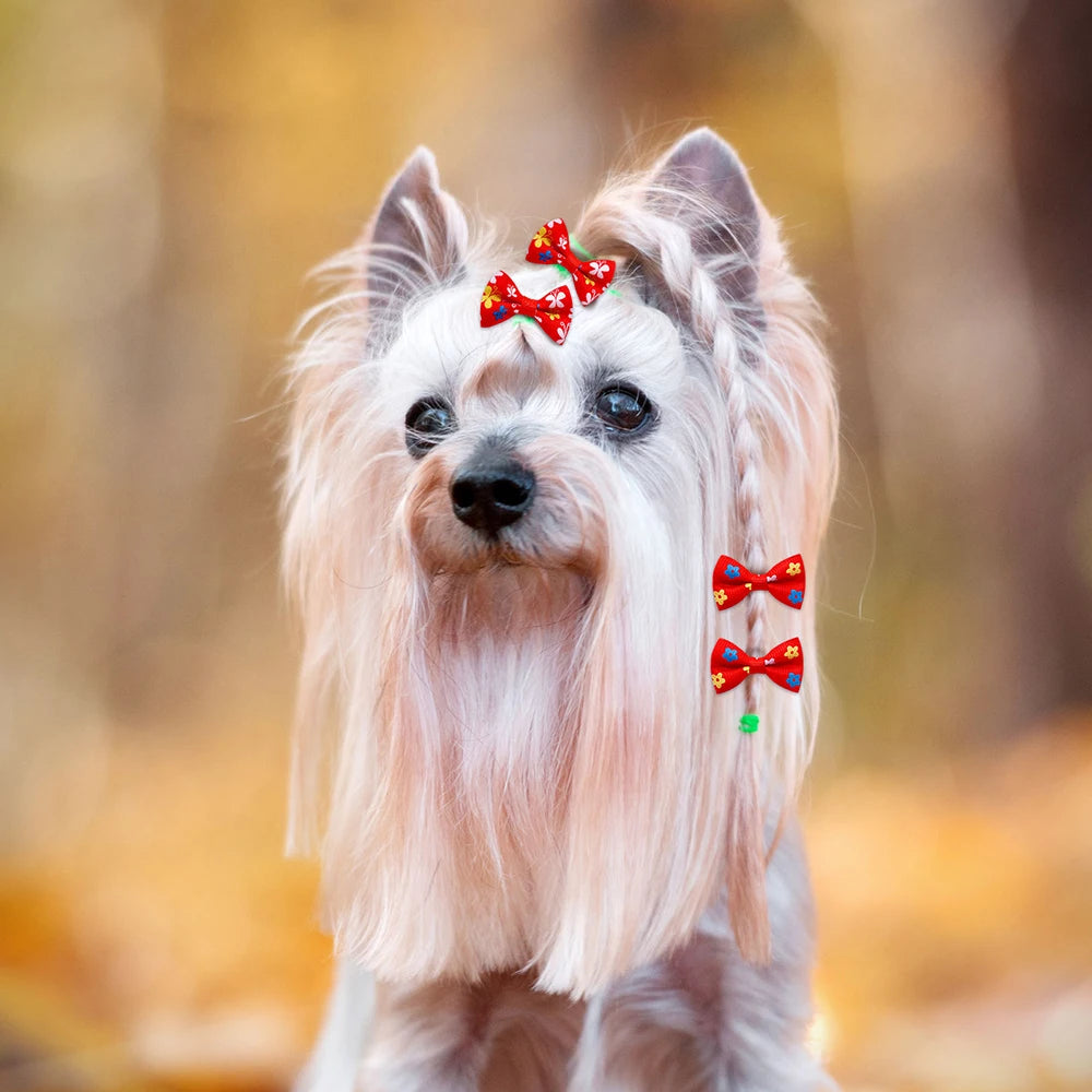 Maison Paw Pet Grooming Hair Bows Set (10/20/30 pcs)