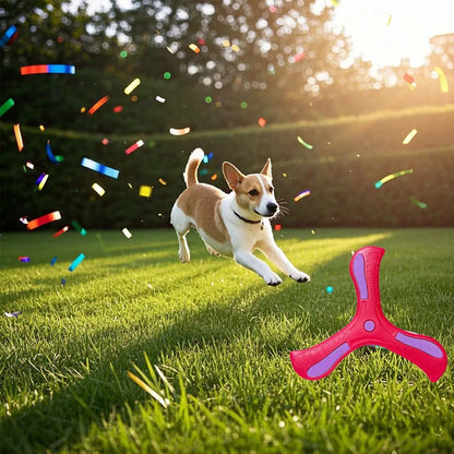 Maison Paw AeroFetch™ Dog Boomerang Toy (1/2/3 pcs)